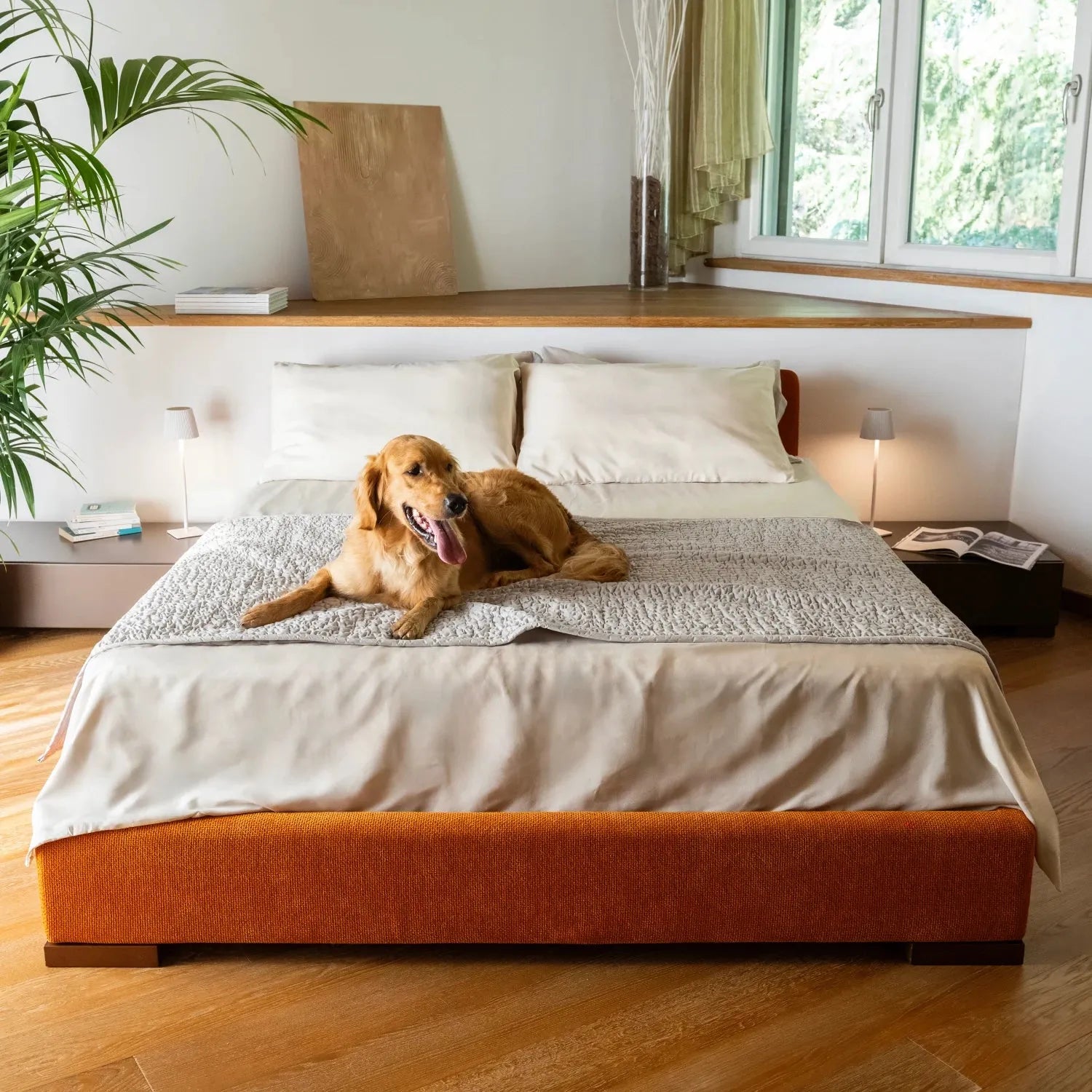 Light Grey Waterproof Dog Blanket Twin