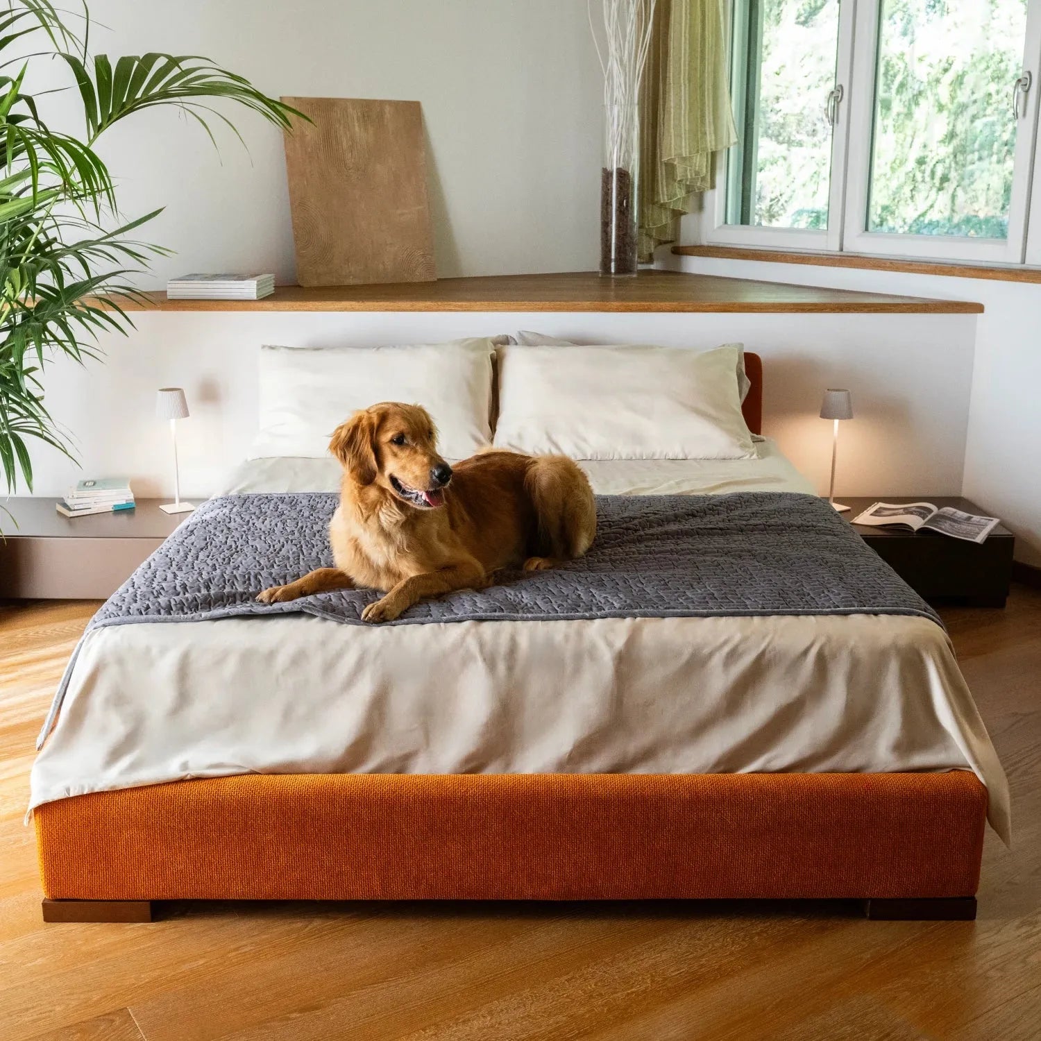 Dark Grey Waterproof Dog Blanket Twin