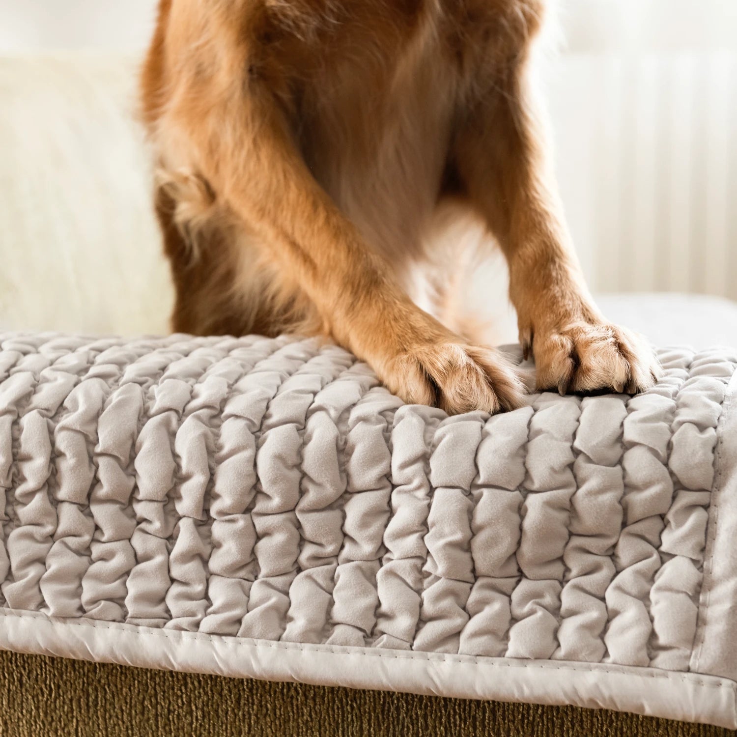 Light Grey Waterproof Dog Blanket Armchair