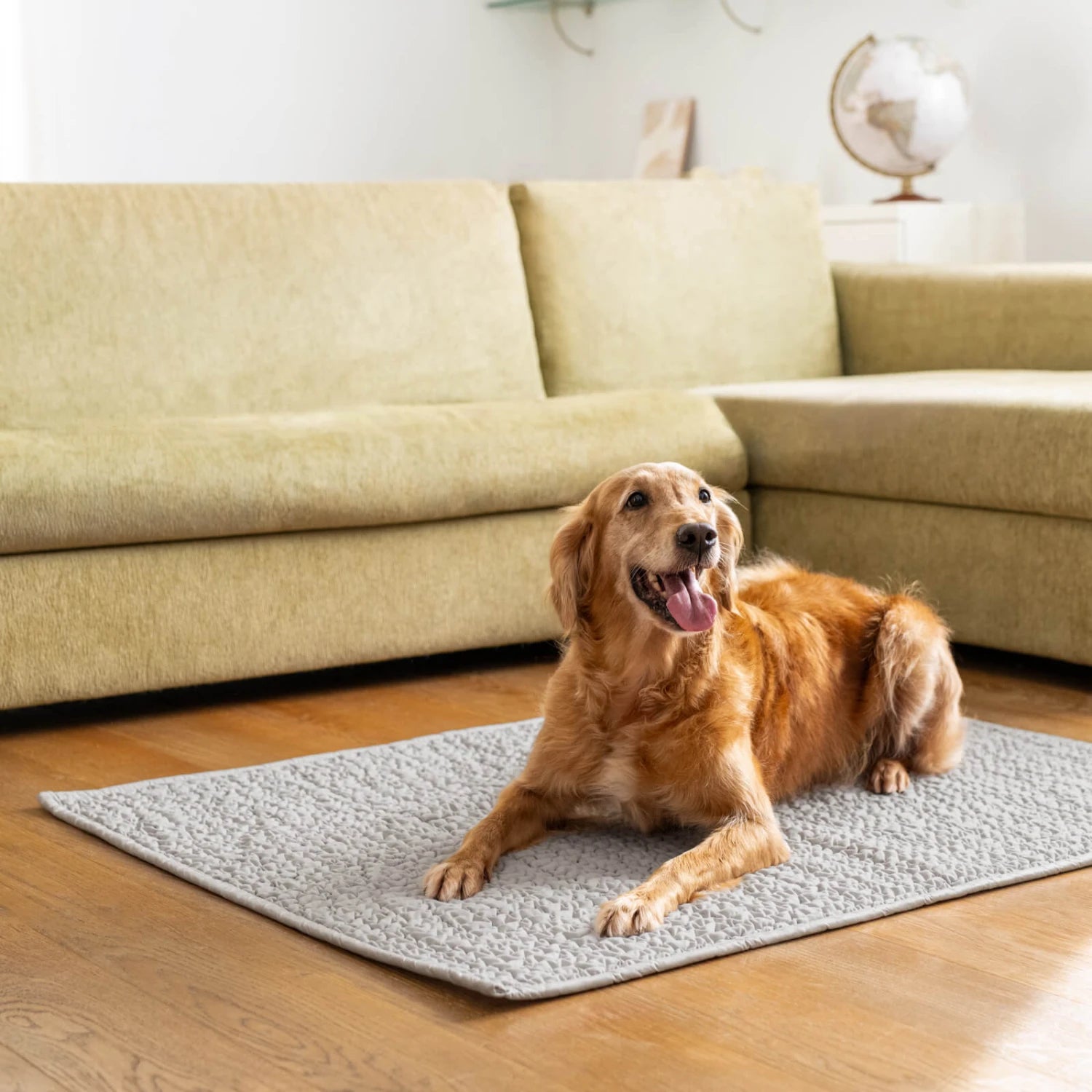 Light Grey Waterproof Dog Blanket Armchair