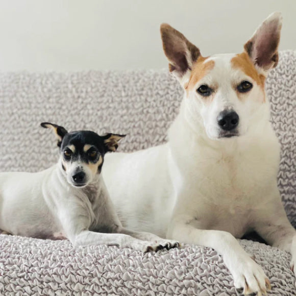 These covers are amazing for homes with pets!