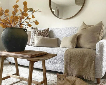 light sofa, cat and vase with leaves