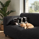 Sofa 4 Seater Slipcover, Embrace Collection – Black, lifestyle view | Black