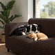 Sofa 4 Seater Slipcover, Embrace Collection – Dark Brown, lifestyle view | Dark Brown