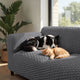 Sofa 4 Seater Slipcover, Embrace Collection – Dark Grey, lifestyle view | Dark Grey