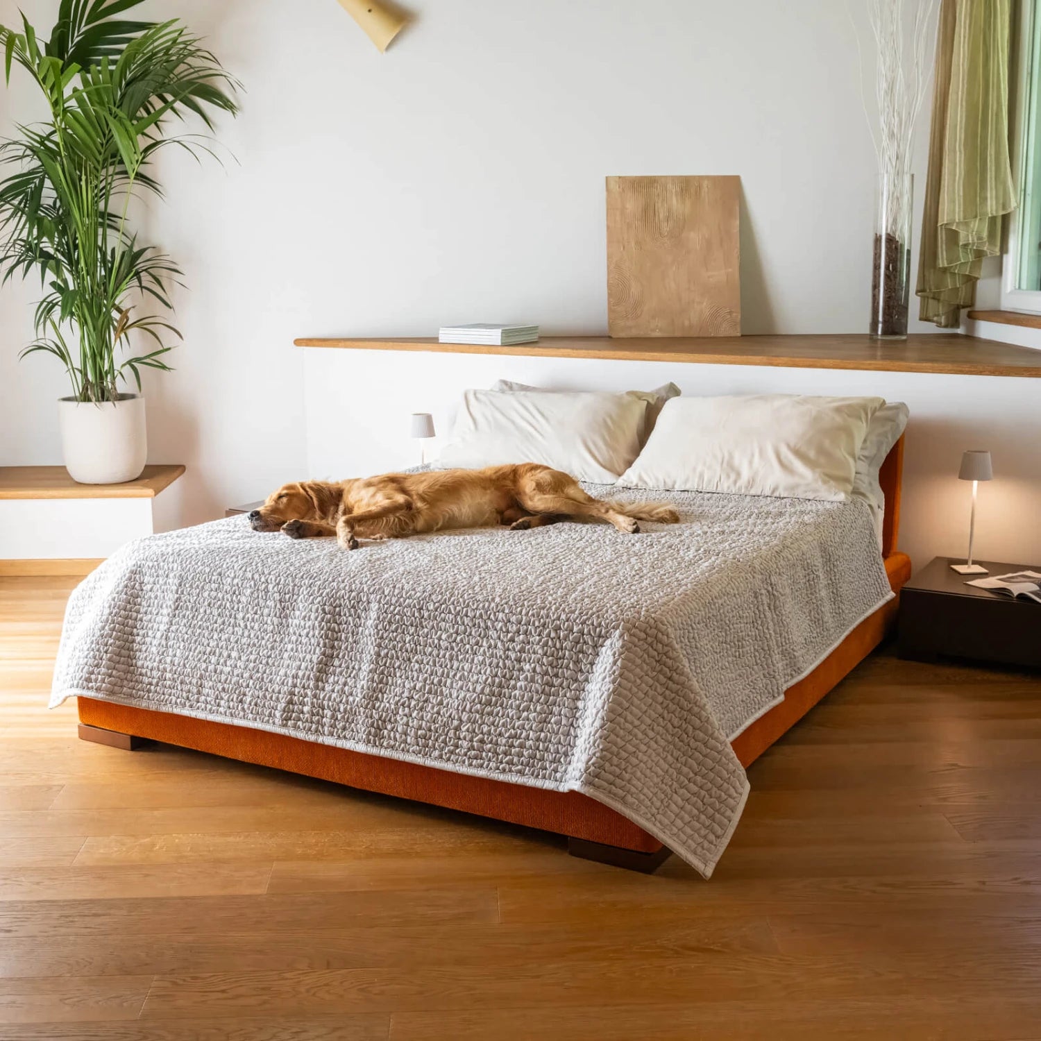 Light Grey Waterproof Dog Blanket Twin
