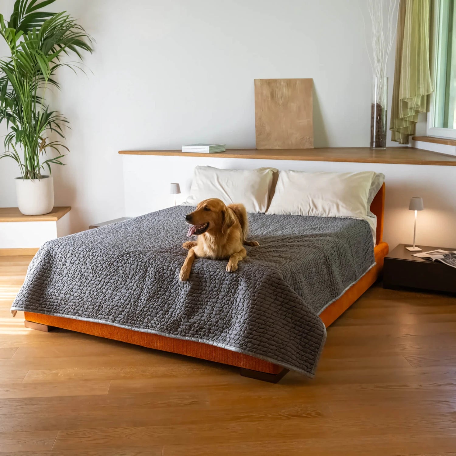 Dark Grey Waterproof Dog Blanket Twin