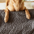 Light Grey Waterproof Dog Blanket Twin