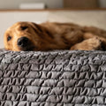 Dark Grey Waterproof Dog Blanket Twin