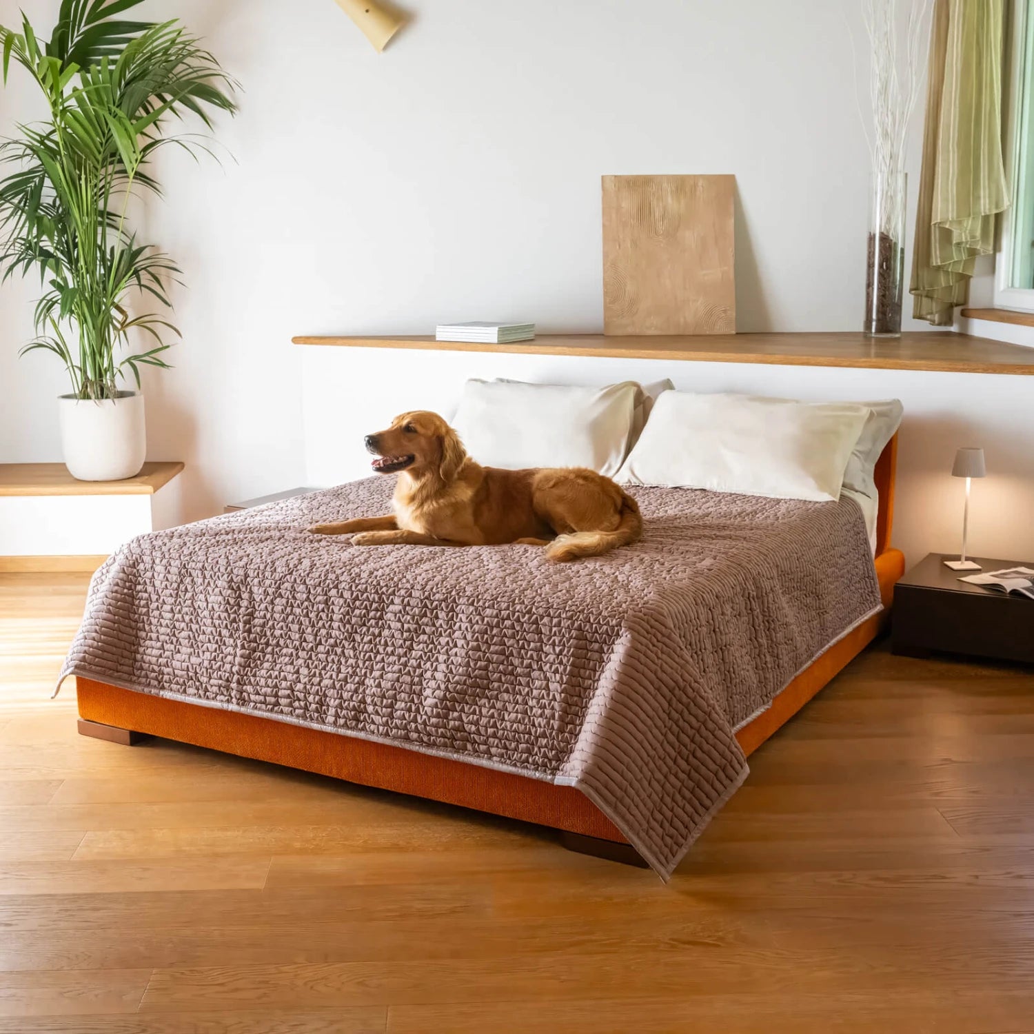 Marsala Waterproof Dog Blanket Twin