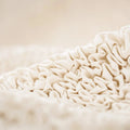 Cream Armchair Slipcover, Microfibra Collection