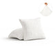 Crisp White