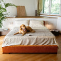 Light Grey Waterproof Dog Blanket Twin