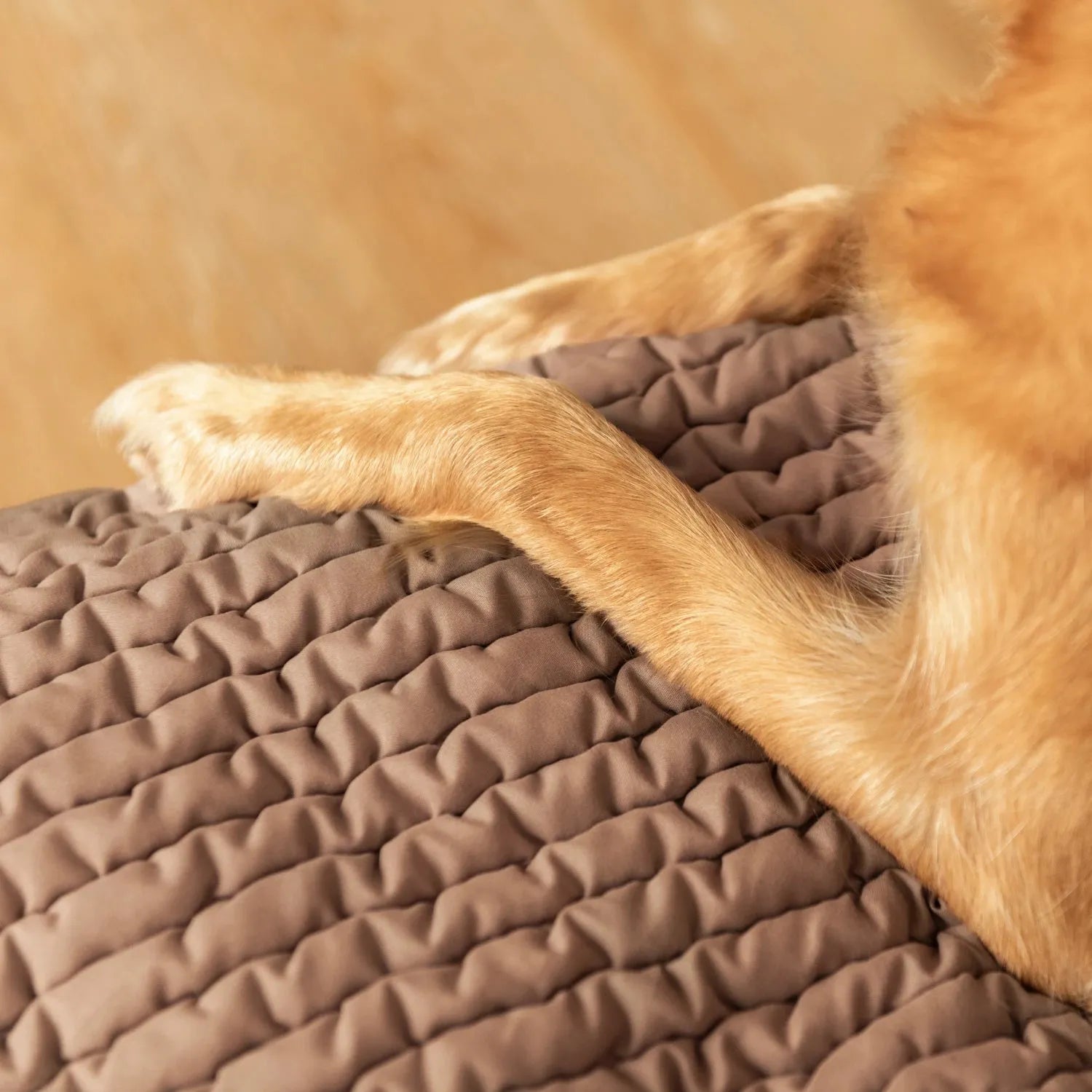 Marsala Waterproof Dog Blanket 3 Seater Sofa