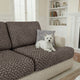 Venezia Brown