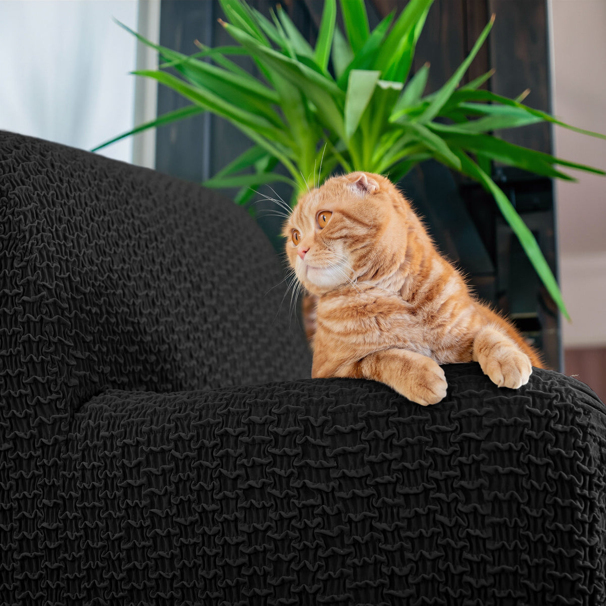 Armchair Slipcover, Embrace Collection – Black, lifestyle view | Black