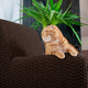 Armchair Slipcover, Embrace Collection – Dark Brown, lifestyle view | Dark Brown