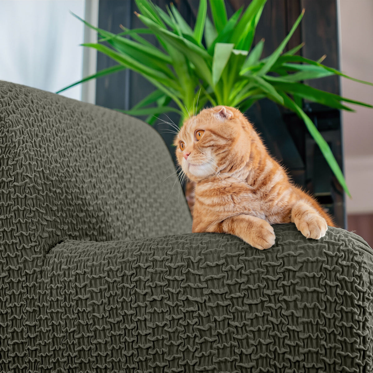 Armchair Slipcover, Embrace Collection – Moss Green, lifestyle view | Moss Green