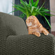 Armchair Slipcover, Embrace Collection – Moss Green, lifestyle view | Moss Green