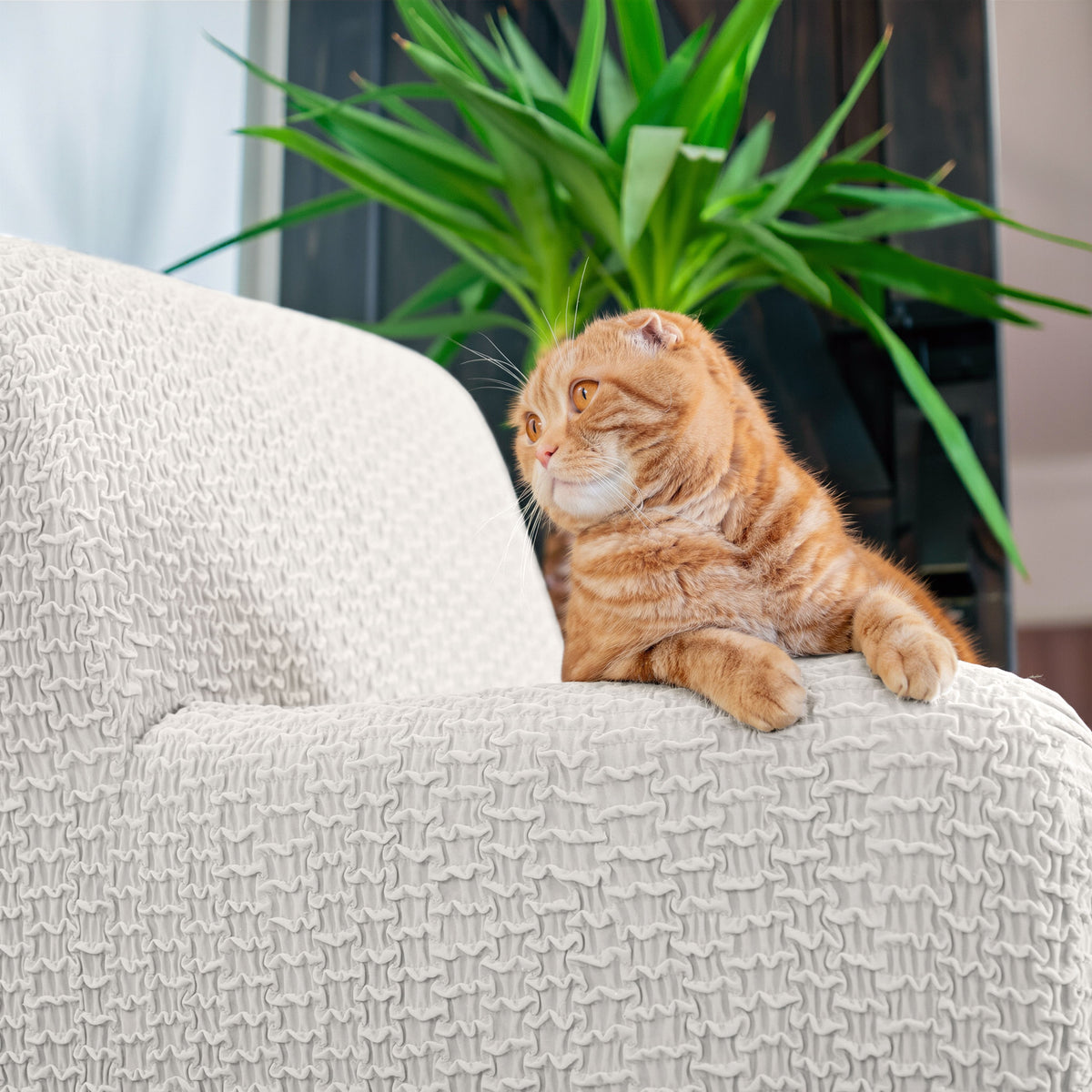 Armchair Slipcover, Embrace Collection – Crisp White, lifestyle view | Crisp White