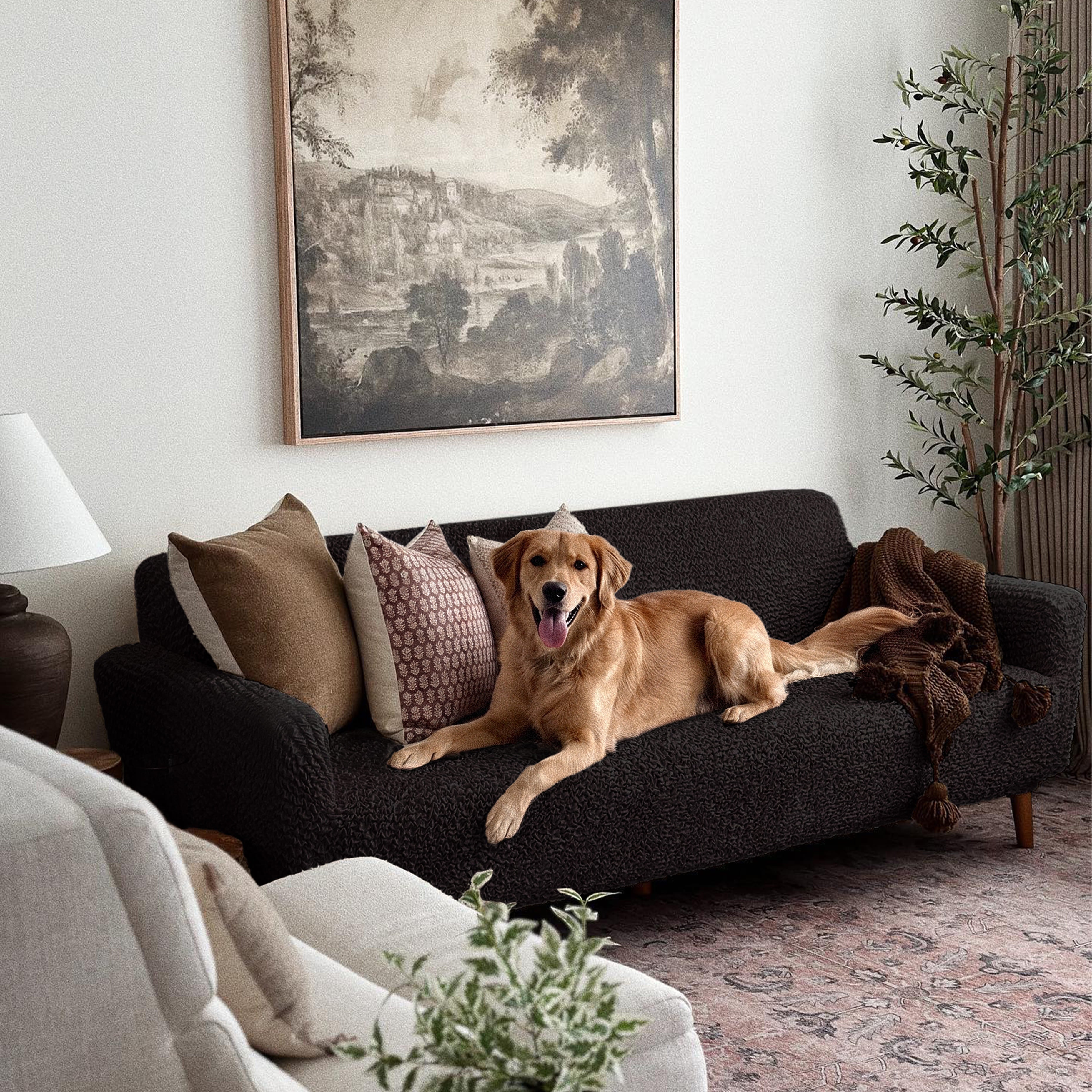 Sofa 3 Seater Slipcover, Comfort Collection – Black, customer photo | Black