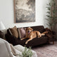 Sofa 3 Seater Slipcover, Comfort Collection – Dark Brown, customer photo | Dark Brown