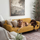 Loveseat 2 Seater Slipcover, Comfort Collection – Mango, customer photo | Mango