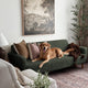 Sofa 3 Seater Slipcover, Comfort Collection – Moss Green, customer photo | Moss Green