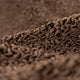 Cocoa