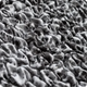 Marmo Grey