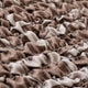 Graffio Taupe